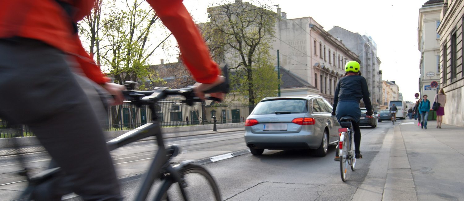 la trace du sanglier