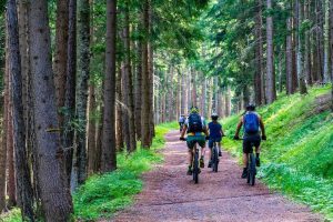 VTT en forêt