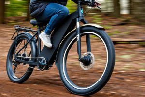 Fatbike randonnée en forêt